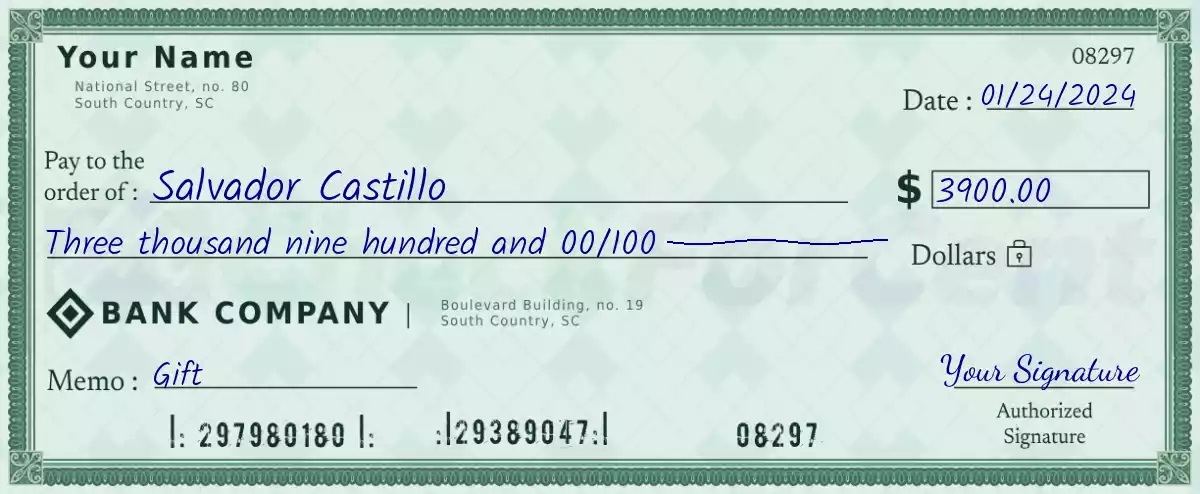Example of a 3900 dollar check