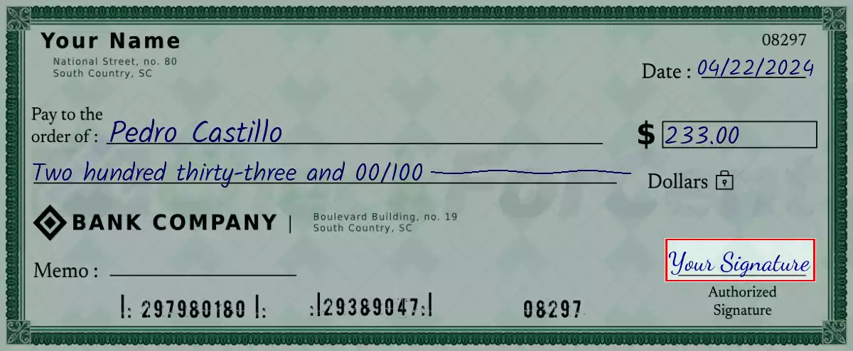 Sign the 233 dollar check