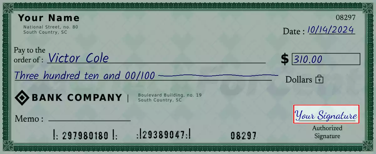 Sign the 310 dollar check