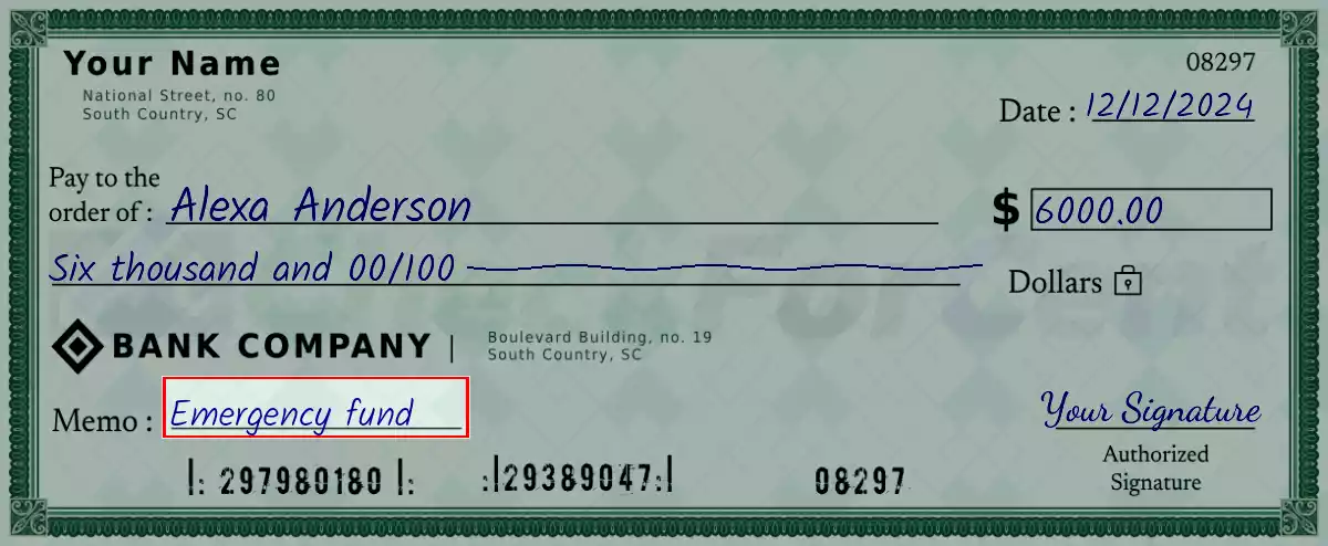 Write the purpose of the 6000 dollar check